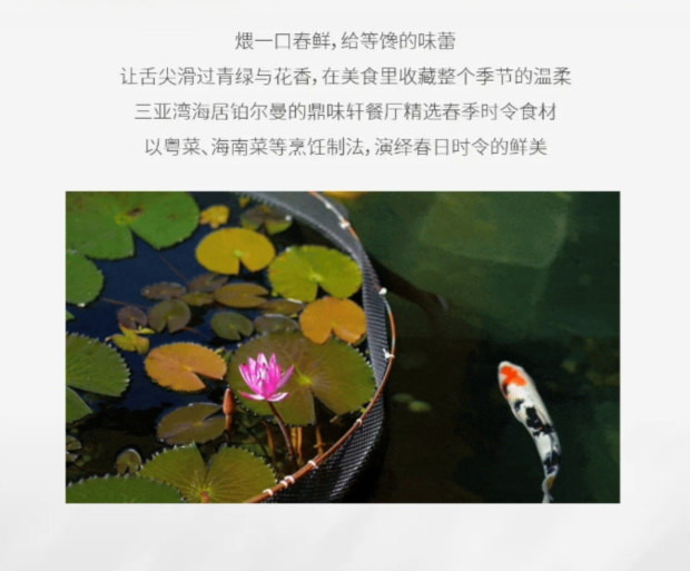 ΢Žͼ_20250331151530 (2).jpg